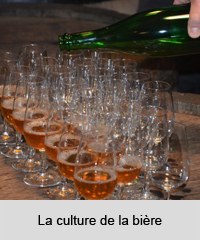 Verres de bière