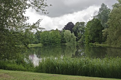 Zicht op het park en een vijver. Foto A. de Ville de Goyet 2016 © urban.brussels